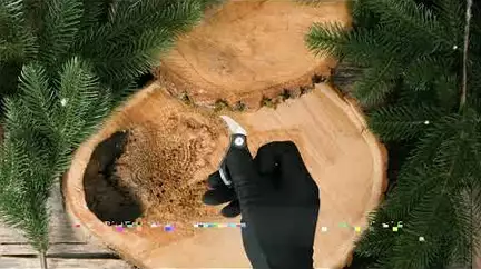 Огляди — Photo 10